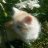 user1781540084